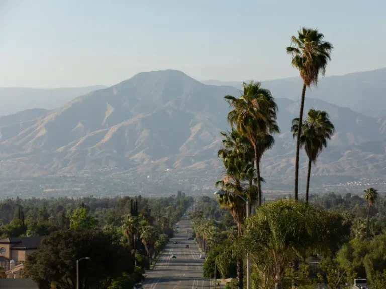 Palm trees line a road leading toward a mountain range under a clear sky.