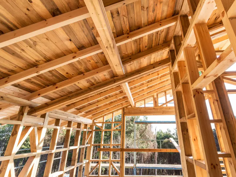 Wooden framework and roof structure of a building under construction with trees visible outside.